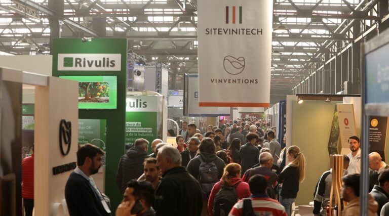 WhatsApp Image 2026-04-16 at 18.33