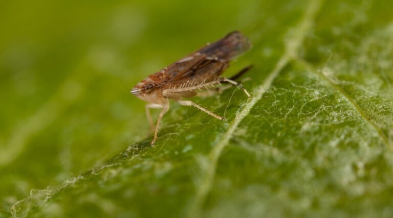 f0cd6c53-a8eb-4939-bcaa-1cc990de8541