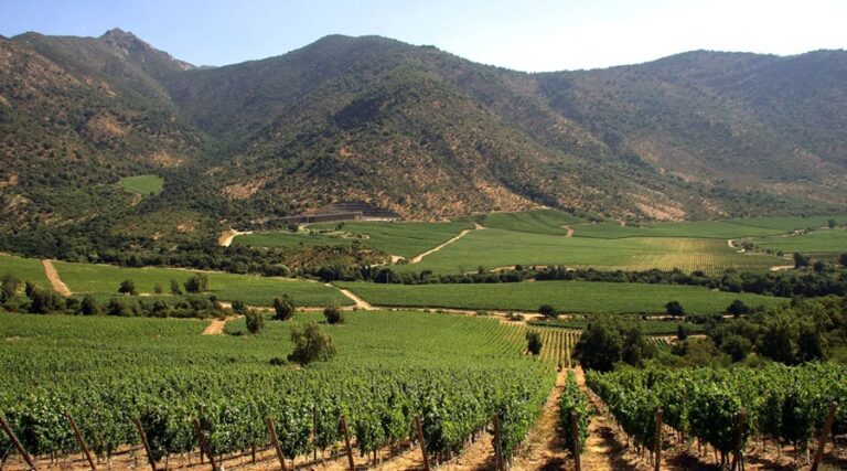 valle-maule_prin-min