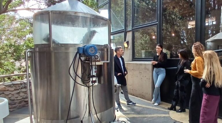 principal punto vid