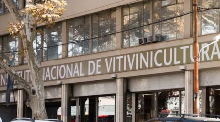principal punto vid (1)